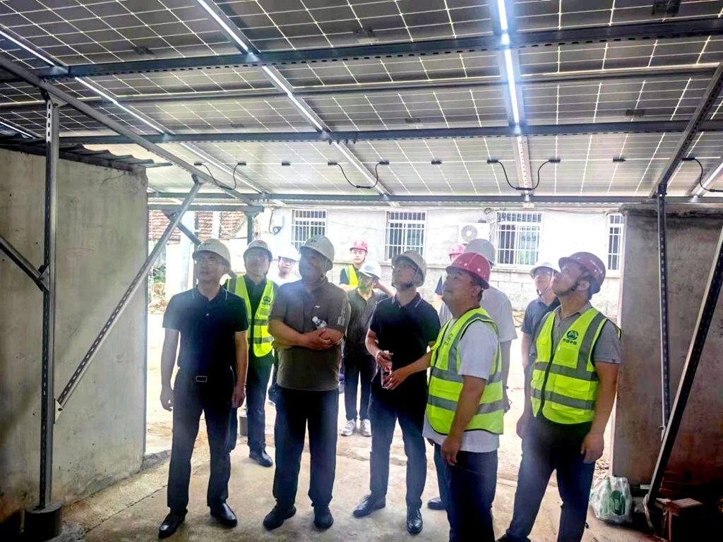 1722216545259599.jpg 1.jpg