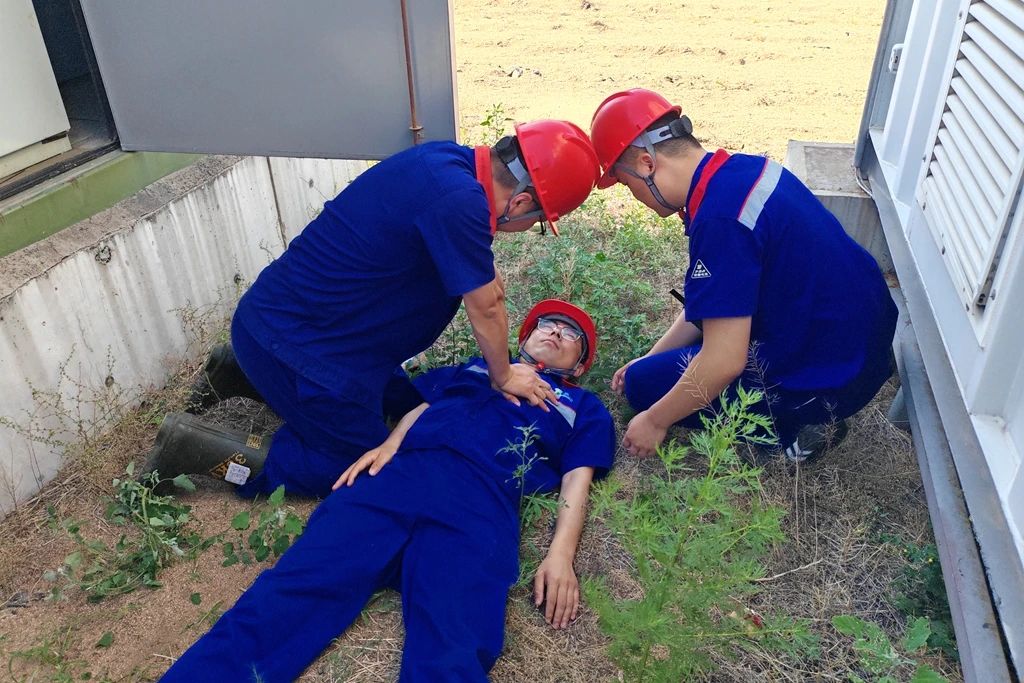 1750812109520866.jpg 2.jpg